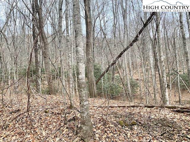 Lot 51 Three Top Road - Photo 1