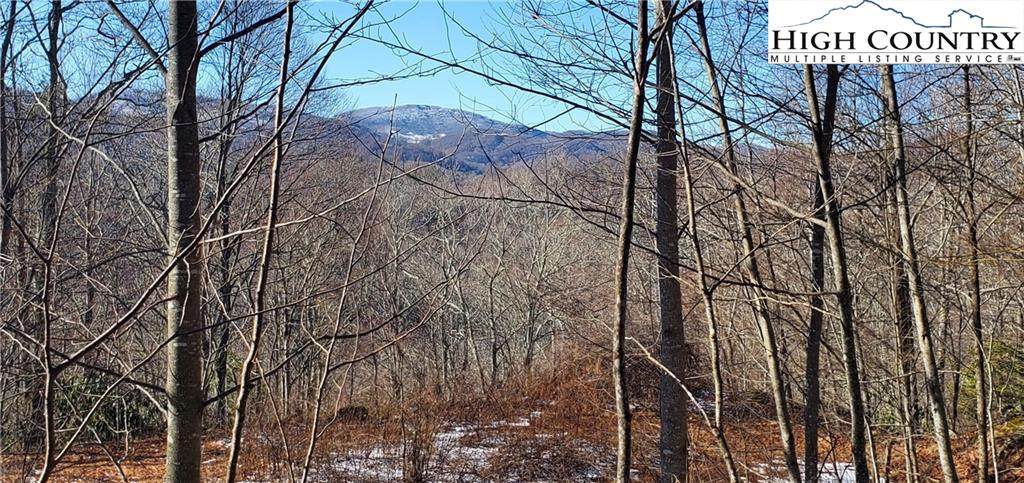 000 Wild Iris Lane - Photo 1