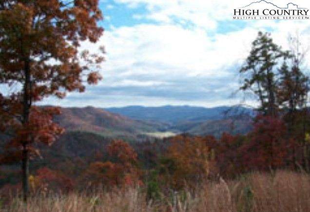 47 Elkhorn Ph 4 L 47 Road - Photo 1