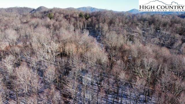 TBD Roaring Branch Road - Photo 1