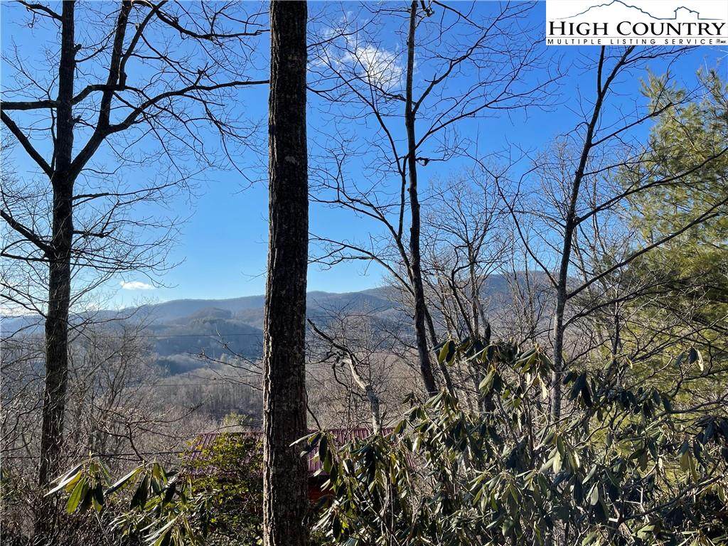 Lot 24 Indian Lake Drive - Photo 1