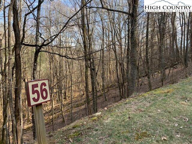 Lot 56 Carefree Cove Road - Photo 1