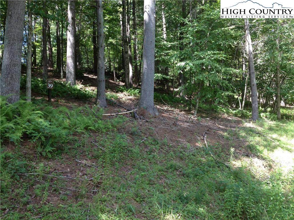 Lot 39 Emerson Road - Photo 1