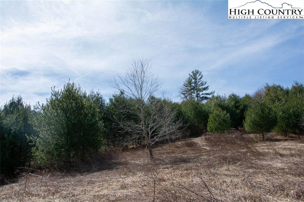 TBD Green Meadows Drive - Photo 1