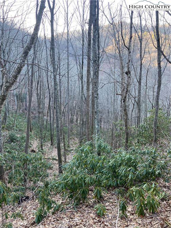 5 Lots Big Ridge Road - Photo 1
