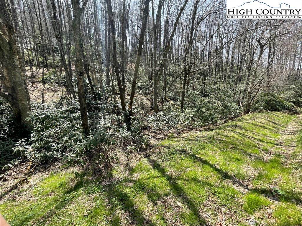 TBD Middle Fork Road - Photo 1