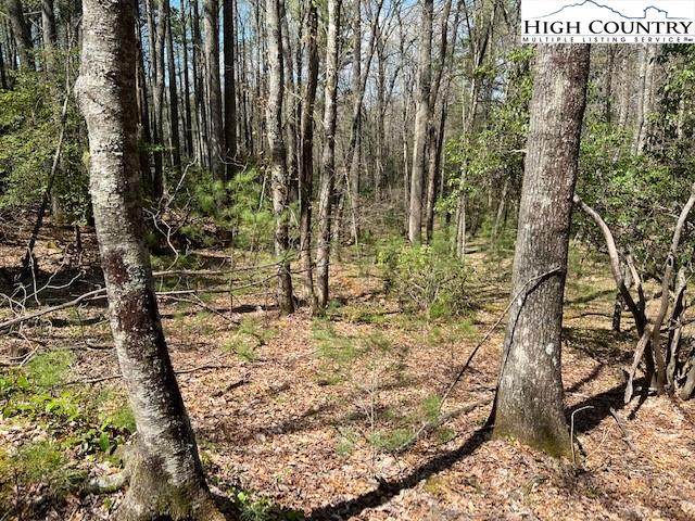 Lot 15 Oak Tree Lane - Photo 1