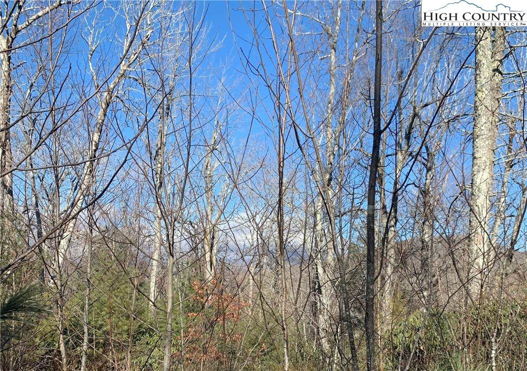 2855 Cougar Run - Photo 1
