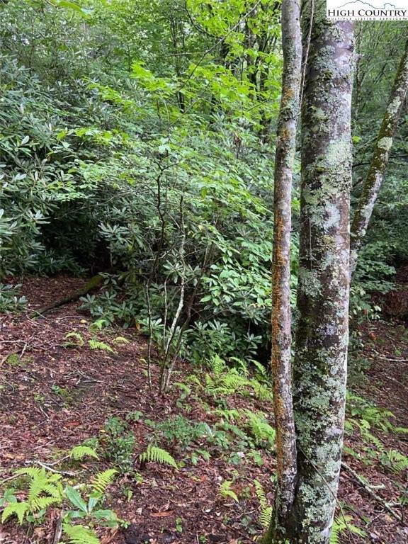 Lot 35 Snow Ridge Road - Photo 1