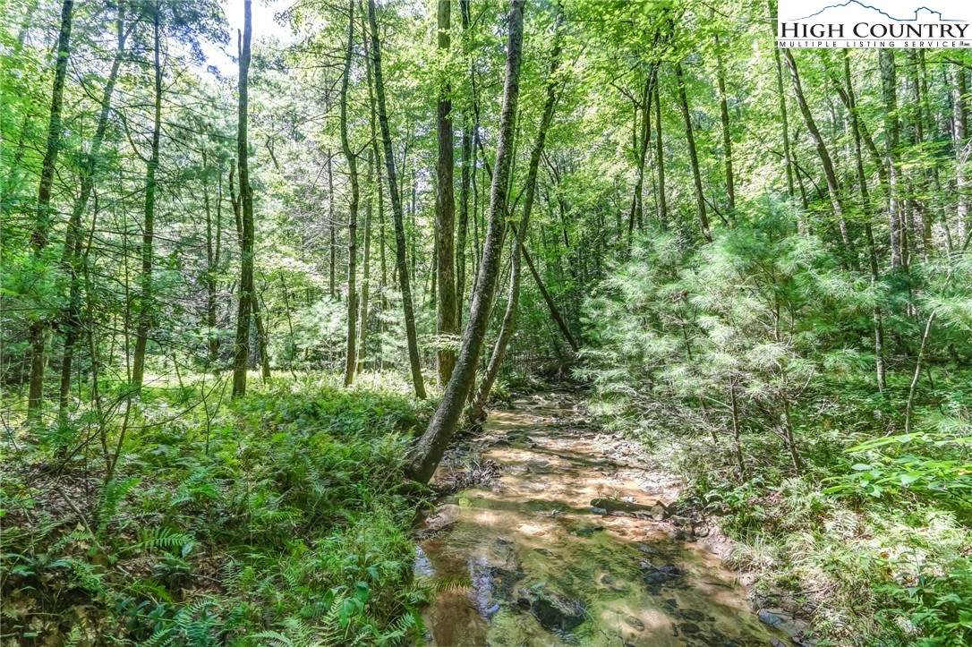 Lot 4 Turkey Trail - Photo 1