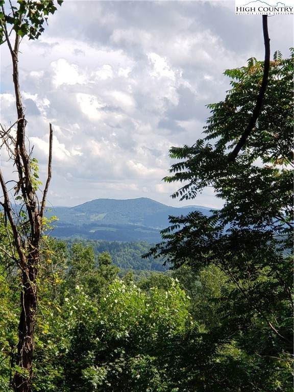 117 Point Lookout Ln. - Photo 1