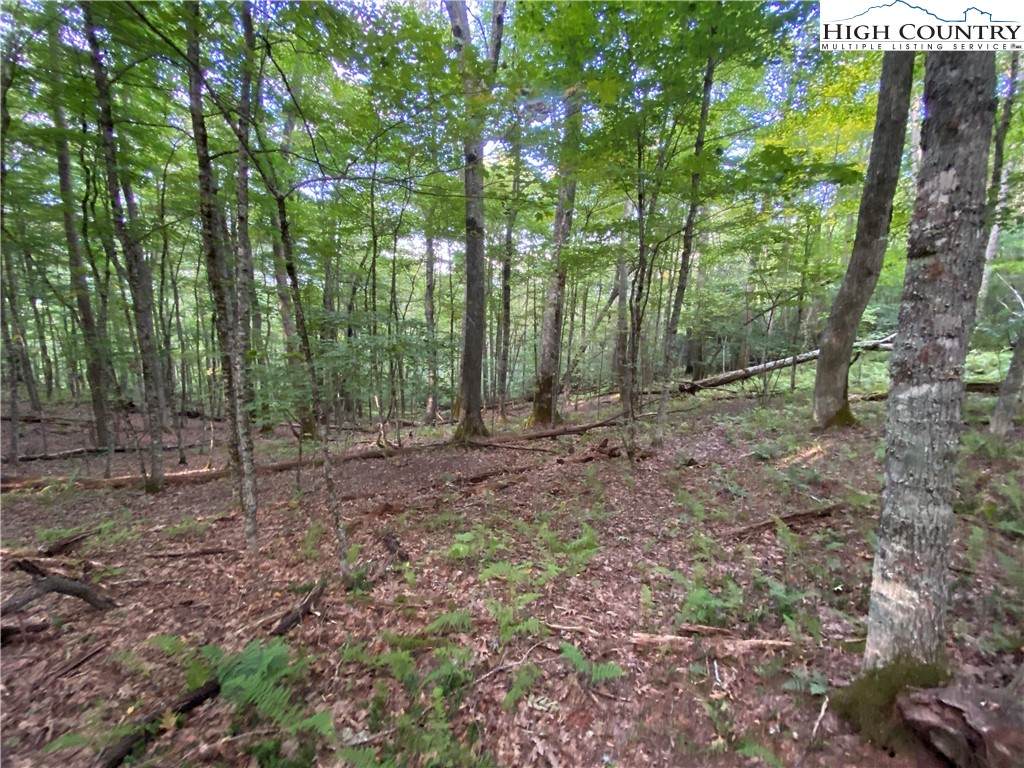 Lot 8 Finally Way - Photo 1