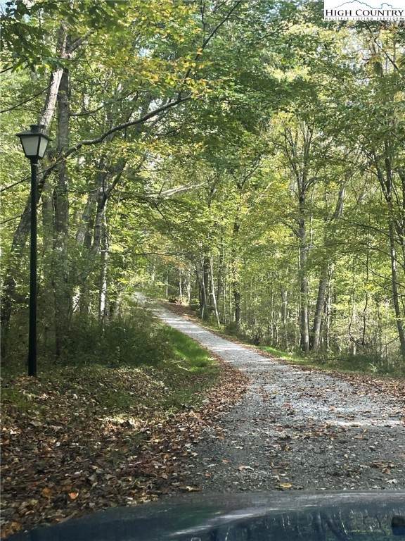 TBD Happy Land Road - Photo 1
