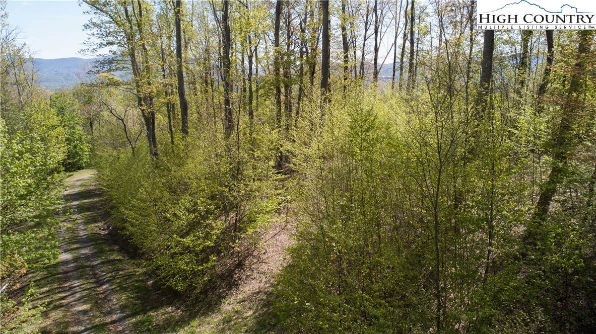 TBD Olde Forest #57 Lane - Photo 1
