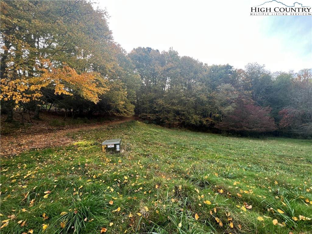 TBD Busic Ridge #4 - Photo 1