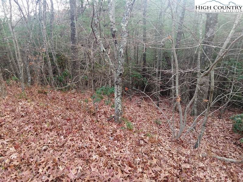 TBD Windy Hill Road - Photo 1