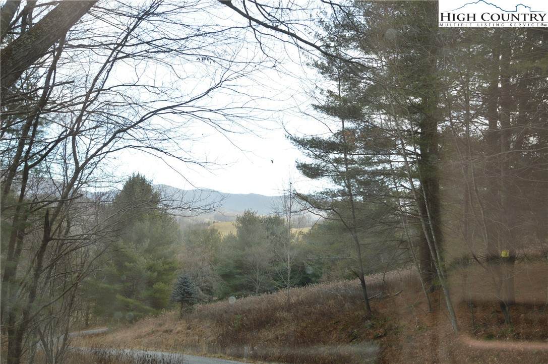 Lot #23 & #24 Alta Vista Lane - Photo 1