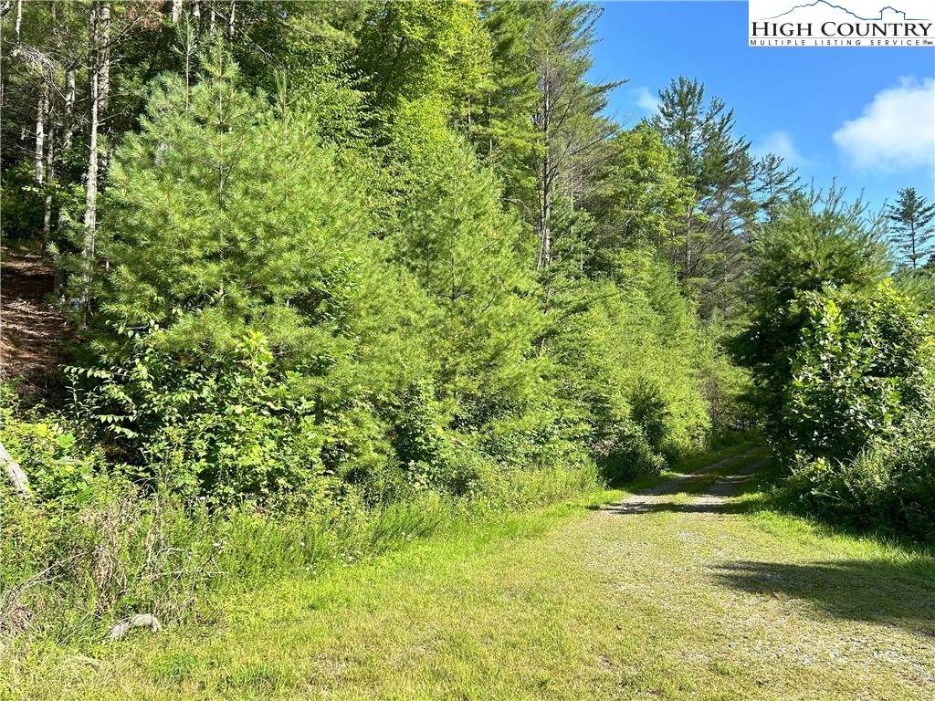 TBD/Lot 11 Fernwood Lane - Photo 1
