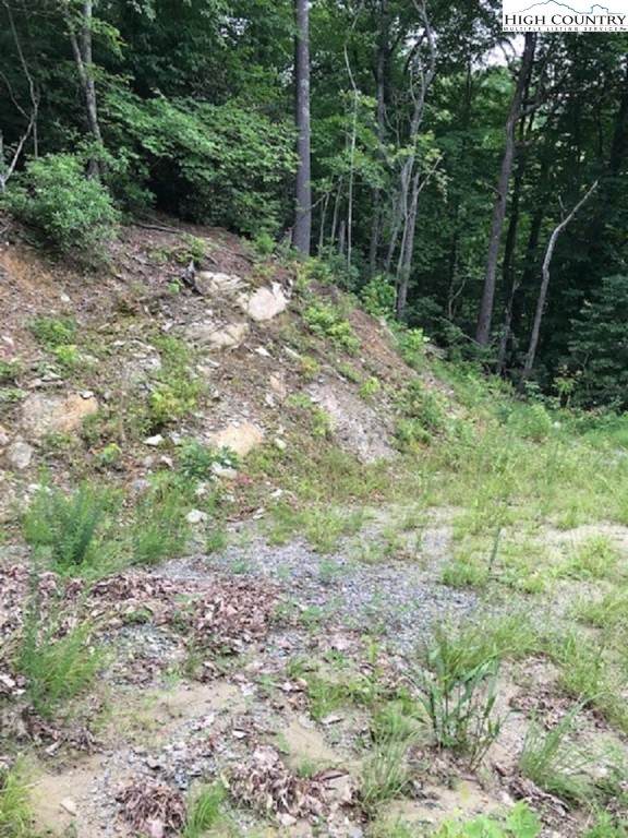 TBD Sheets Gap Road - Photo 1