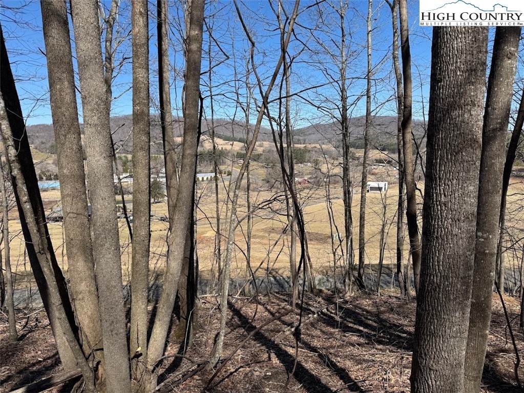 0 Roby Poe Road - Photo 1