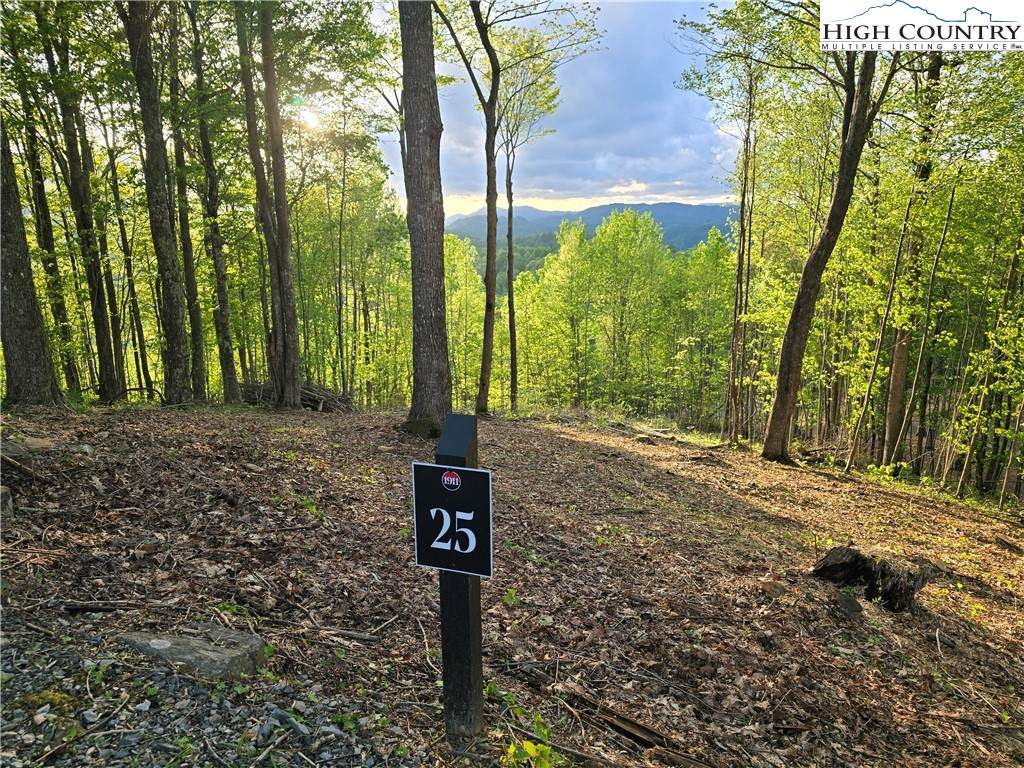 Lot 25 Deer Trail Lane - Photo 1