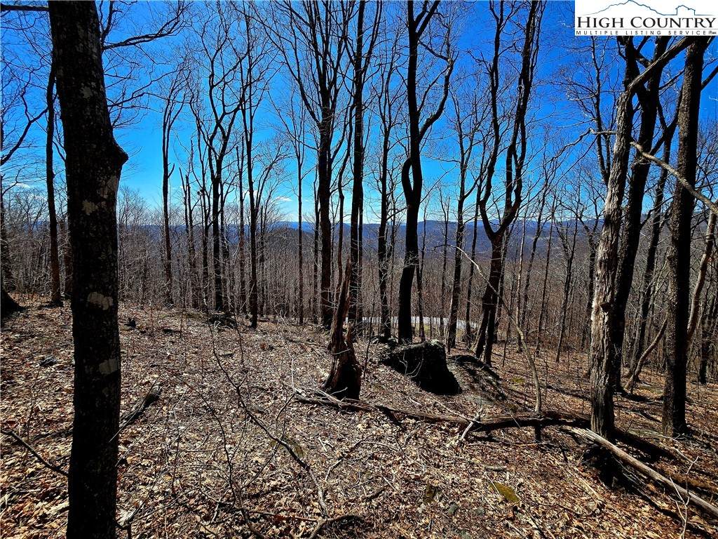Lot 78 Elk Creek Mountain Parkway - Photo 1