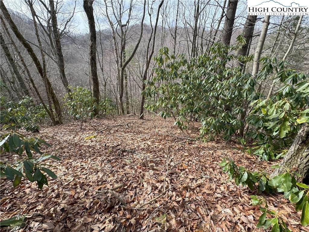 2.13 Acres Big Ridge Road - Photo 1