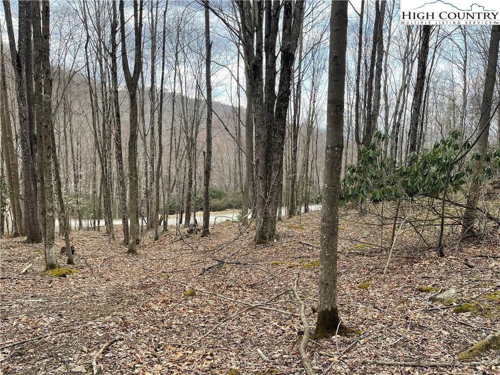 100 Fireweed Lane - Photo 1