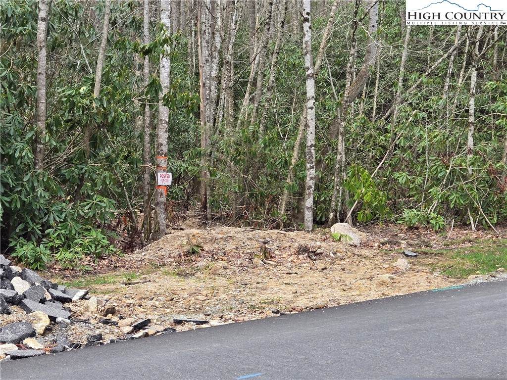 Lot 102 Buckeye Creek Road - Photo 1