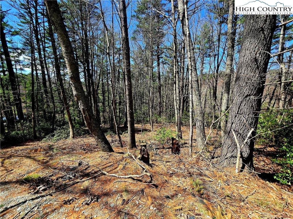 TBD (lots 5 & 6) River Ridge Road - Photo 1