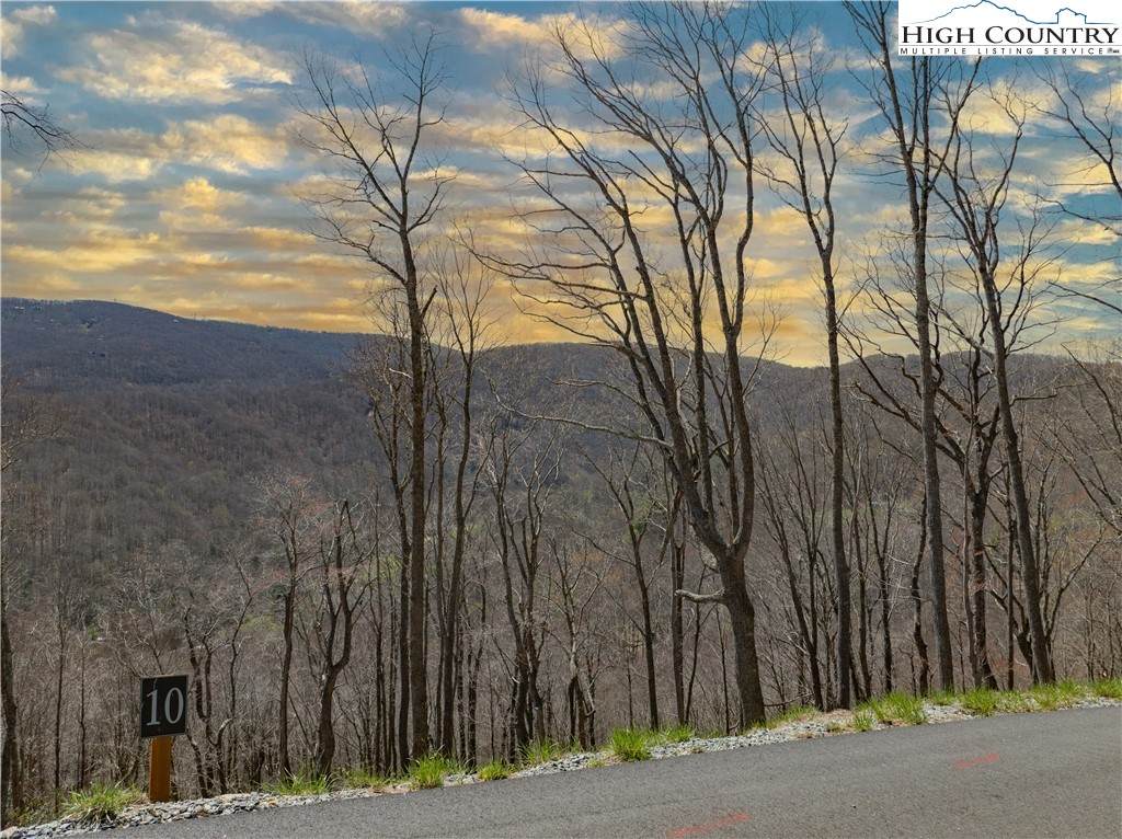 Lot 10 Poplar Forest Drive - Photo 1