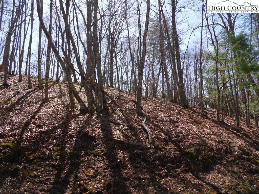 #31 & #32 Happy Ridge Road - Photo 1