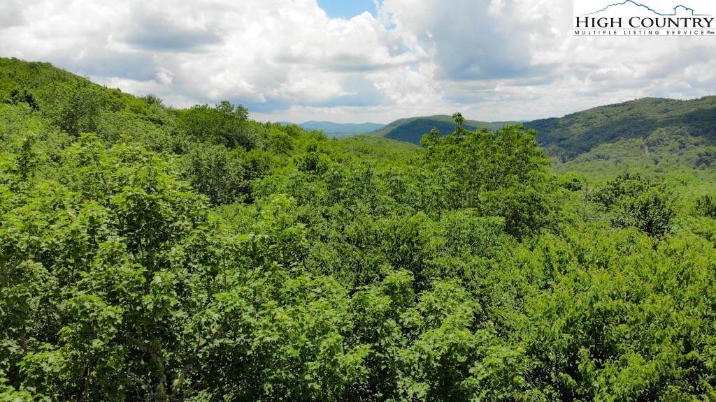 1715 Forest Ridge Drive - Photo 1