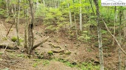 Fall Creek Meadows Fall Creek Meadows Lane - Photo 1