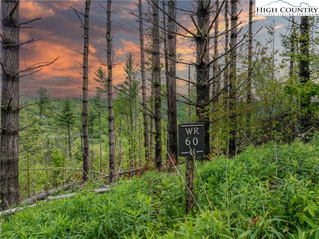 WR-60 Clouds Rest Drive - Photo 1