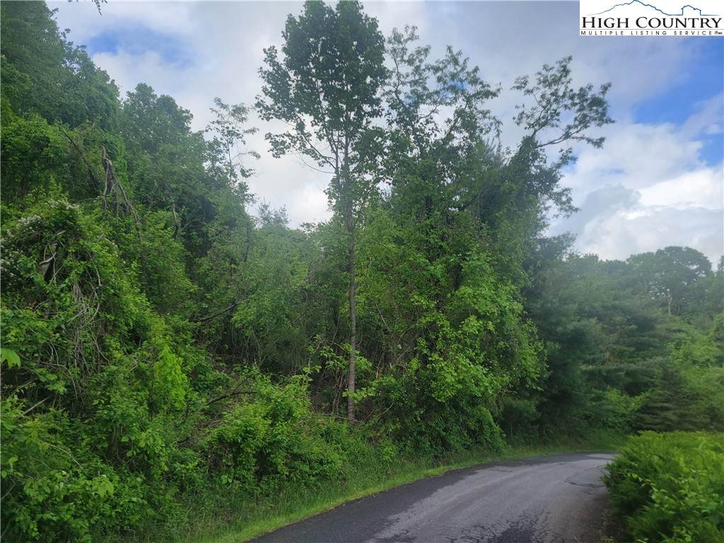 TBD Holly Hill Drive - Photo 1