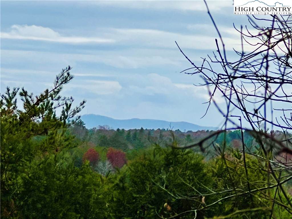 2.53 acres, Lot 602 Low Valley Way - Photo 1