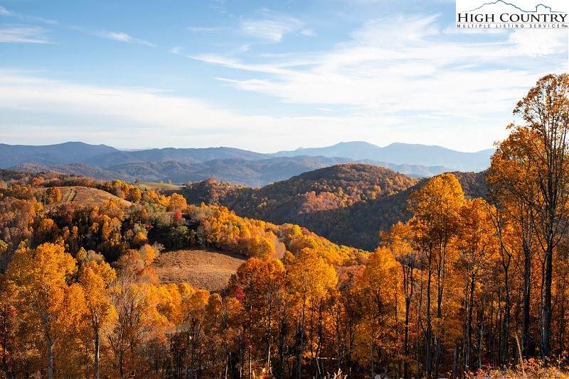 LOT 8 Pebble Creek Trail - Photo 1