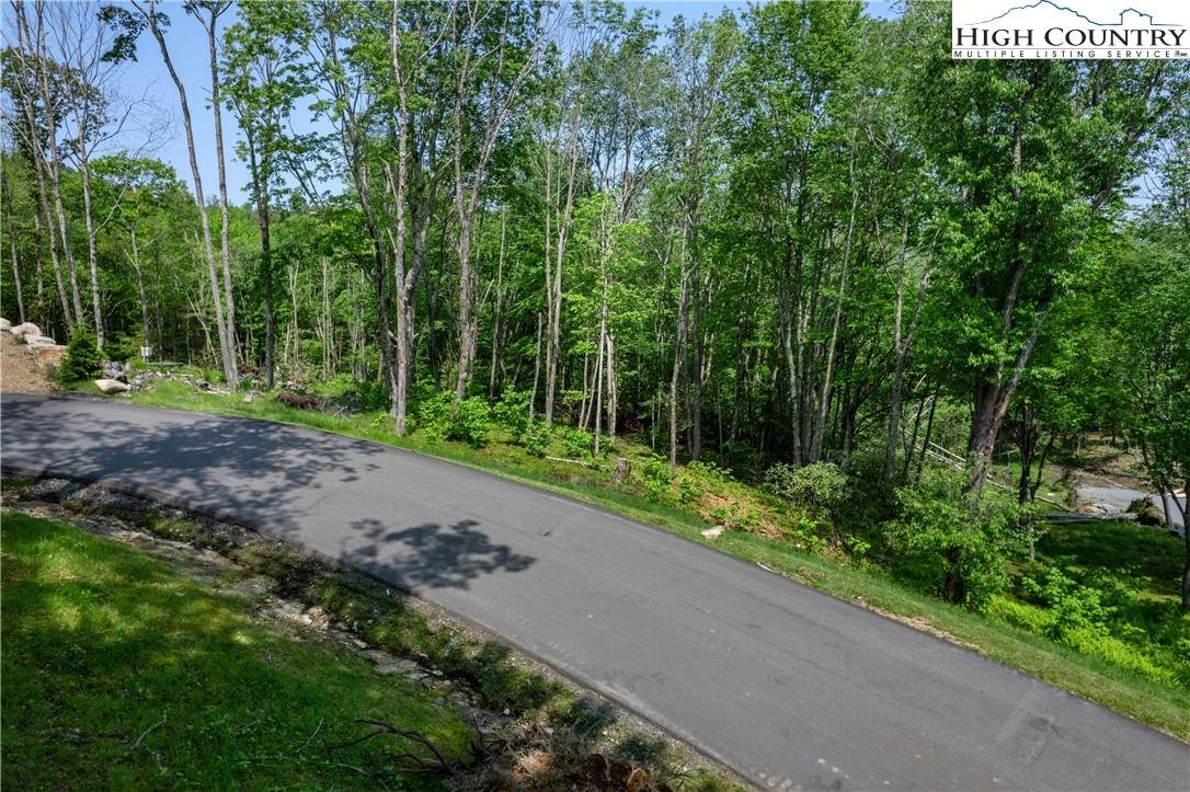 ES-30 Eagle Springs Trail - Photo 1