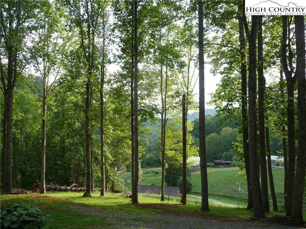 TBD Joe Shoemaker Road - Photo 1