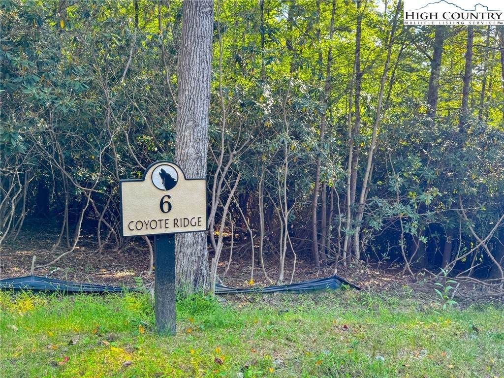 Lot R6 Coyote Trail - Photo 1