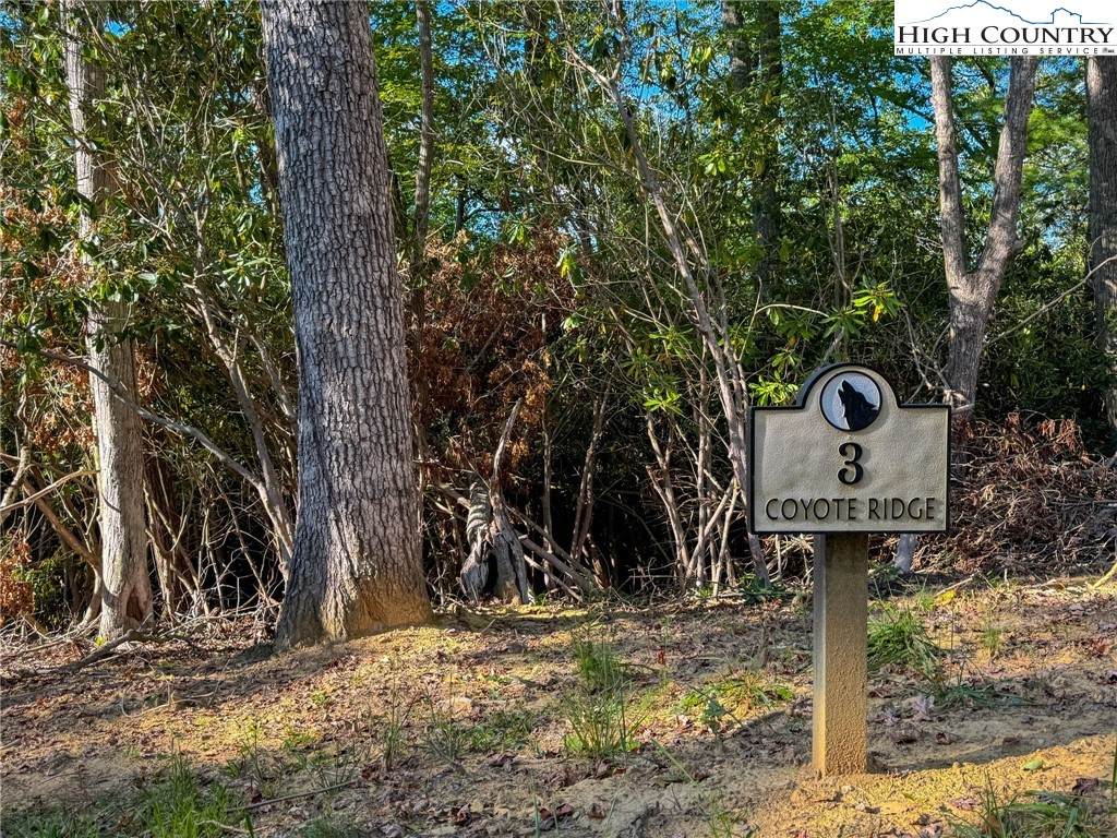 Lot R3 Coyote Trail - Photo 1