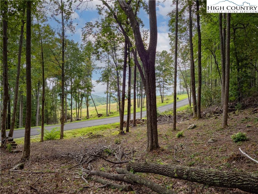 Lot 46 Wildcat Wilderness Parkway - Photo 1