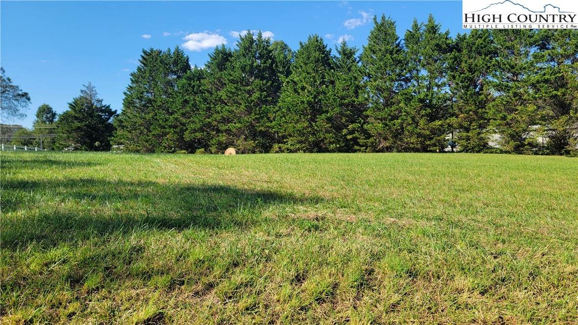 Lot 107 212 Parson Lane - Photo 1