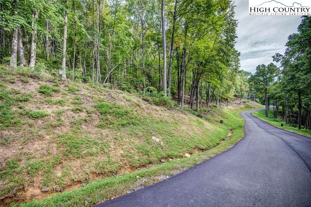Lot 49 Wildcat Wilderness Parkway - Photo 1