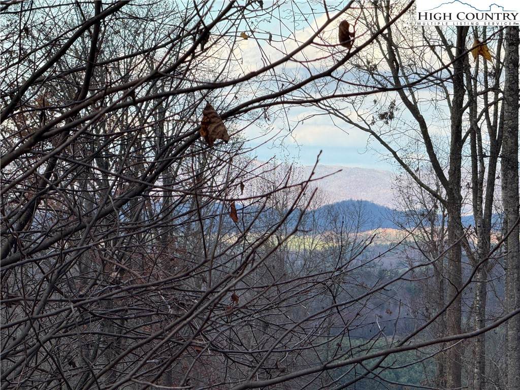 TBD Sonterra Drive - Photo 1