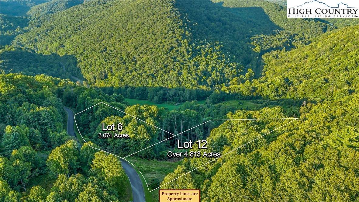 Lots 6 & 12 Solitude Lane - Photo 1