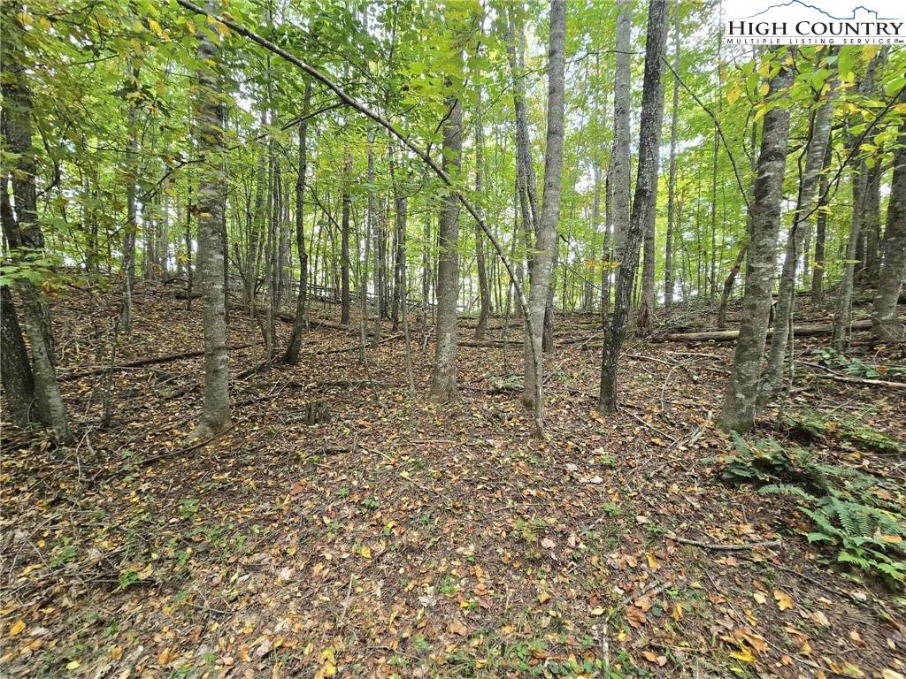 TBD Parsons Hill Road - Photo 1