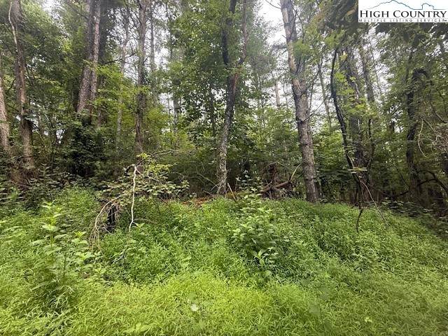 TBD Longview Drive - Photo 1