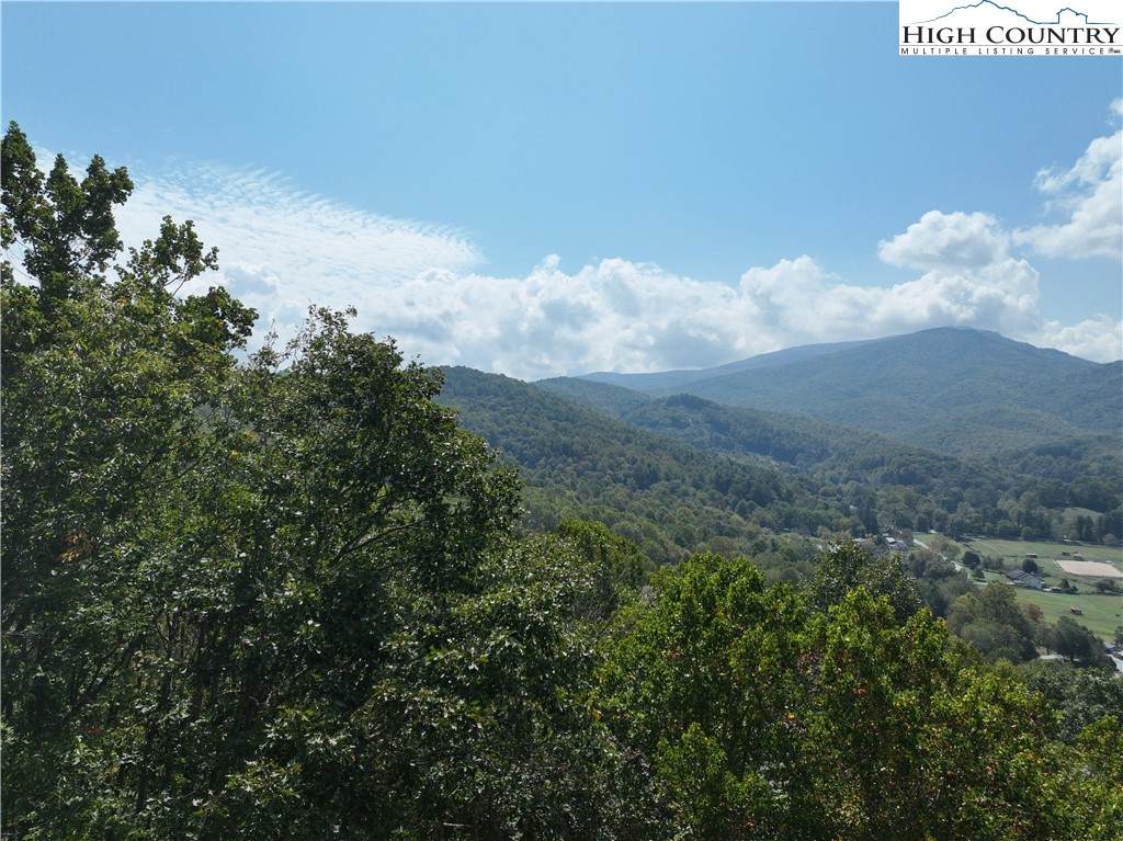 Lot 18 Jackson Ridge Road - Photo 1